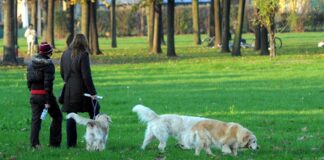 Apre a Milano ‘Dog City Garden’: la prima area cani privata a pagamento