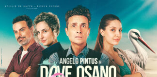 Dove osano le cicogne