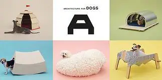 Architecture for Dogs