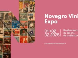 Novegro Vinile Expo 2025