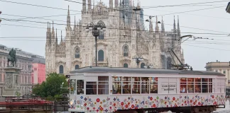 tram di Takashi Murakami