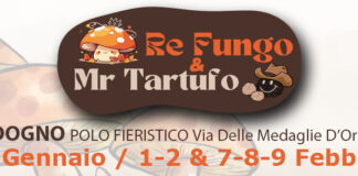 Re Fungo & Mr Tartufo