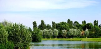 Parco Nord celebra mezzo secolo di storia con un fitto calendario di eventi
