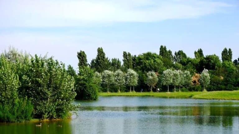 Parco Nord celebra mezzo secolo di storia con un fitto calendario di eventi