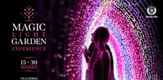 Magic Light Garden Experience