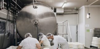 Alla scoperta dei sapori autentici: visita al caseificio vicino a Milano