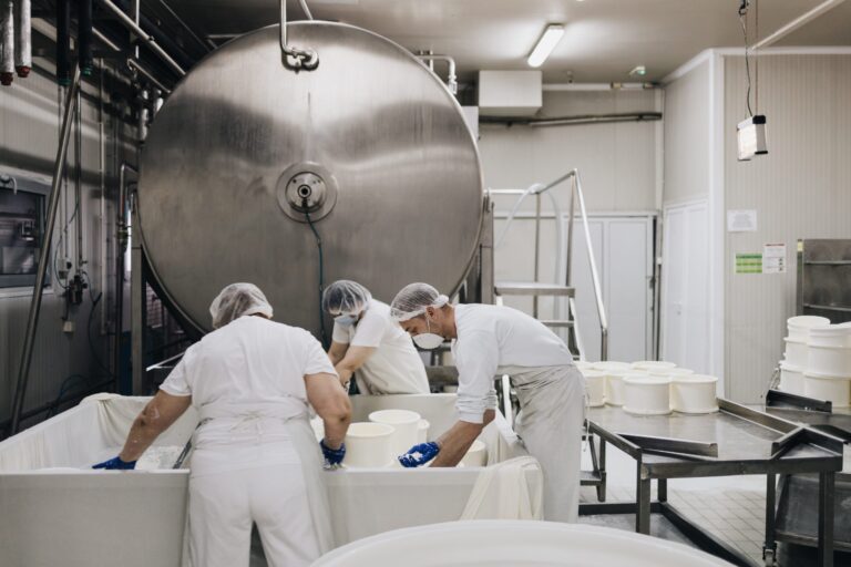 Alla scoperta dei sapori autentici: visita al caseificio vicino a Milano
