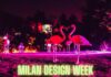 milano design week flamingos