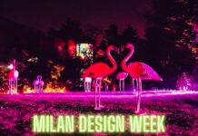 milano design week flamingos