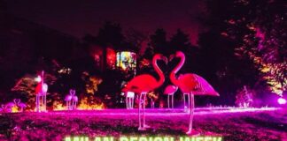 milano design week flamingos