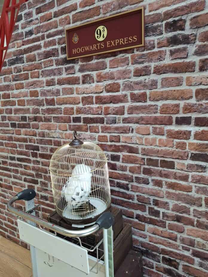 Harry Potter a Il Centro di Arese