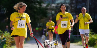 Dog Run 2025 Milano