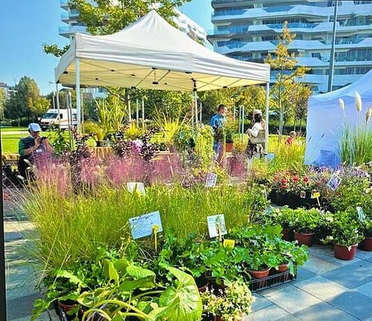 Flora et Decora 2025