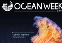 One Ocean Week Milano 2025