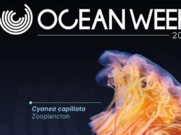 One Ocean Week Milano 2025