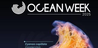 One Ocean Week Milano 2025