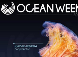 One Ocean Week Milano 2025