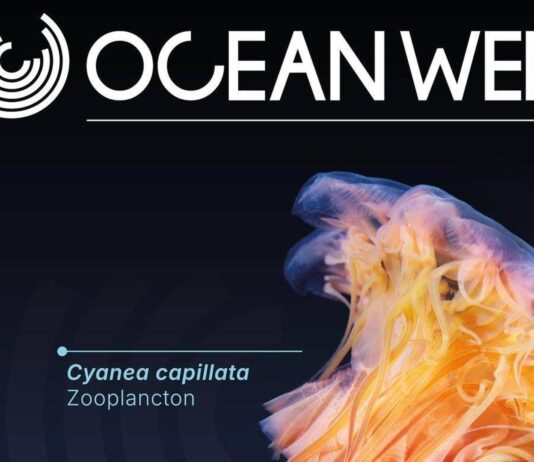 One Ocean Week Milano 2025