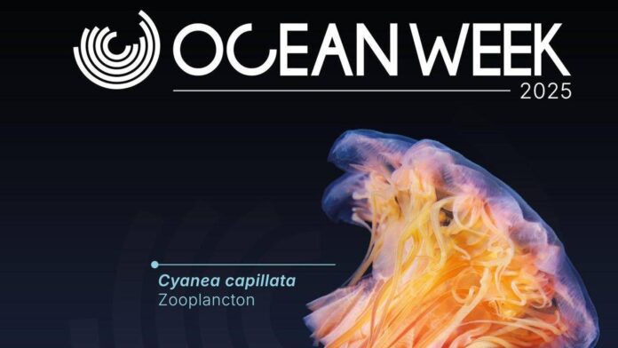 One Ocean Week Milano 2025