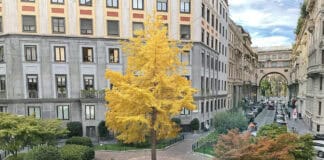 Inaugurazione della nuova piazza Duse