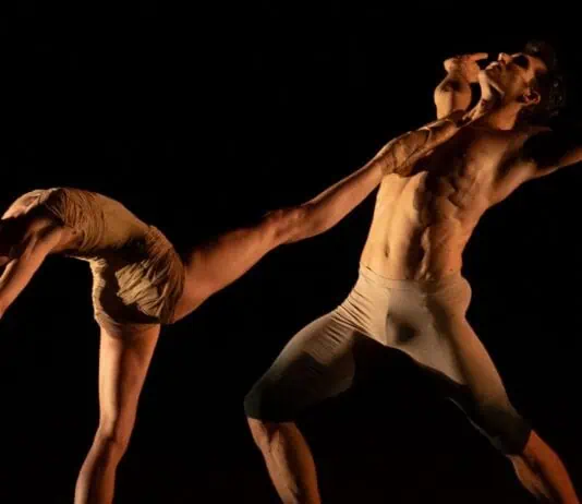 Roberto Bolle