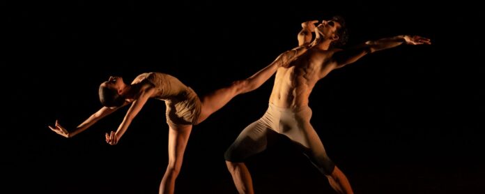 Roberto Bolle