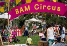 Bam Circus 2025