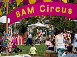 Bam Circus 2025