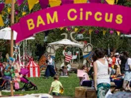 Bam Circus 2025