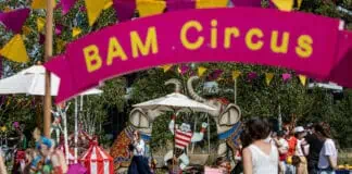 Bam Circus 2025
