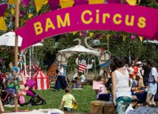 Bam Circus 2025
