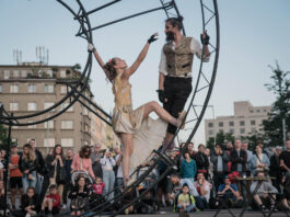 bam circus