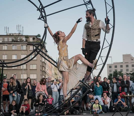 bam circus