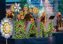 Multi-Kulti Bam Summer Festival