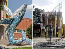 Incendiata la Balena di Jacopo Allegrucci