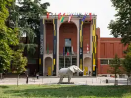 elefante della Namibia