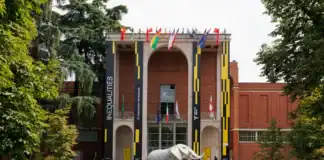 elefante della Namibia