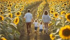 Girasoli in Castello