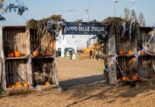 Agricola delle Meraviglie 2025