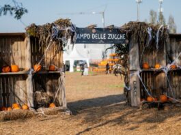 Agricola delle Meraviglie 2025