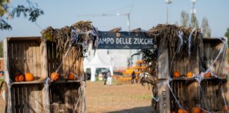 Agricola delle Meraviglie 2025