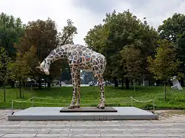 giraffa di Rothschild