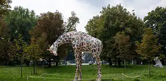 giraffa di Rothschild