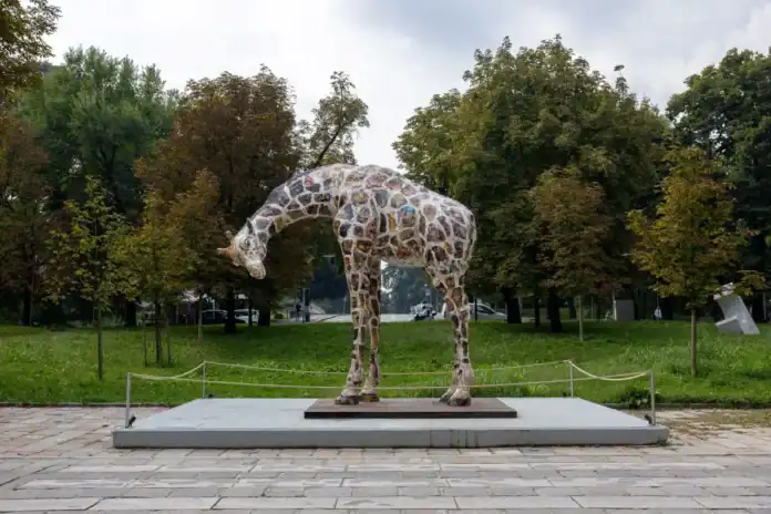 giraffa di Rothschild