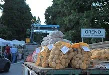 Aspettando la Sagra della Patata di Oreno 2025