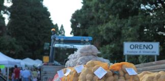 Aspettando la Sagra della Patata di Oreno 2025