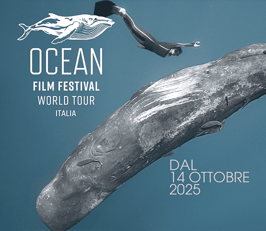 Ocean Film Festival World Tour Italia 2025
