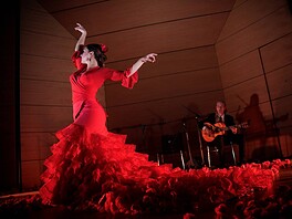 We Call It Flamenco