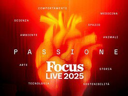 Focus Live 2025