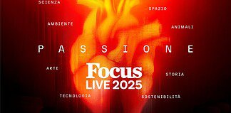 Focus Live 2025